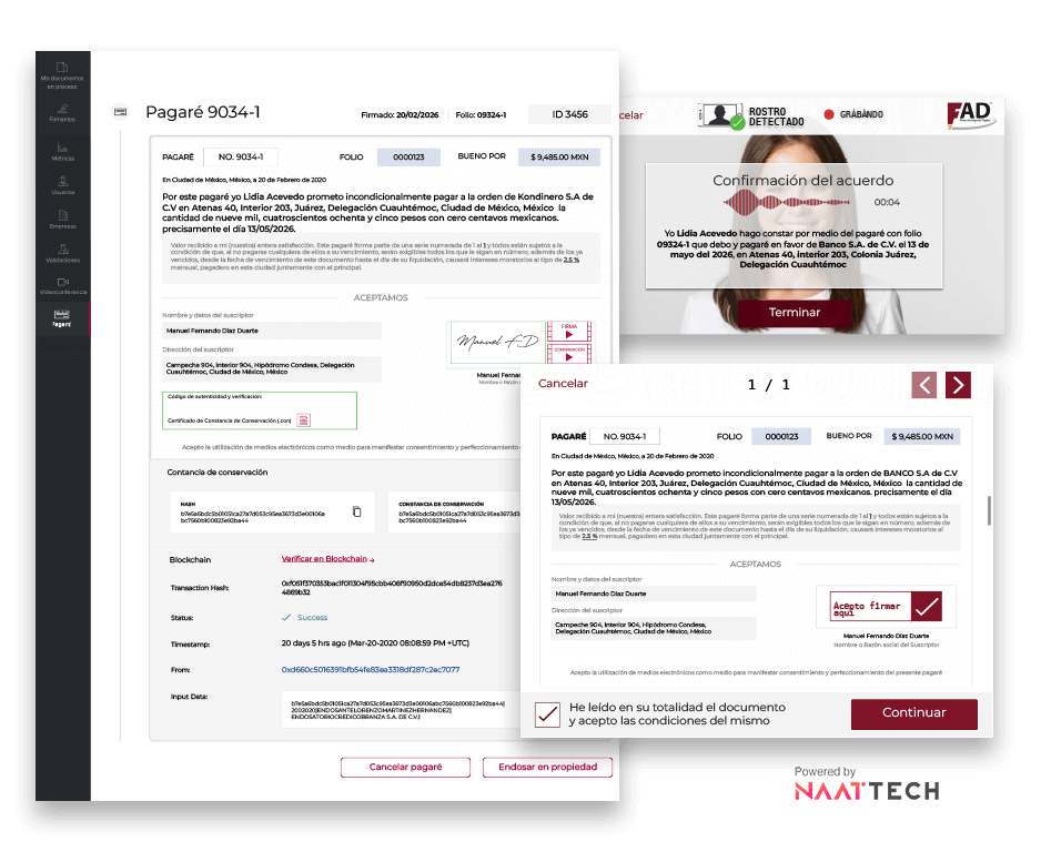 Pagare-Digital-Blockchain-Powered-By-NAAT.TECH